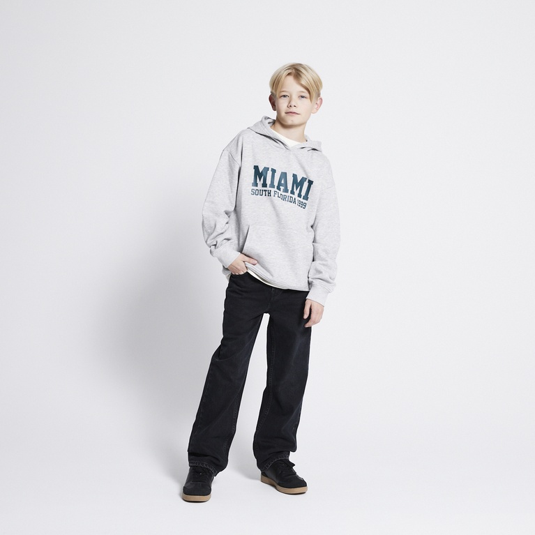 Printed hoodie "Jordon" Grey melange 7